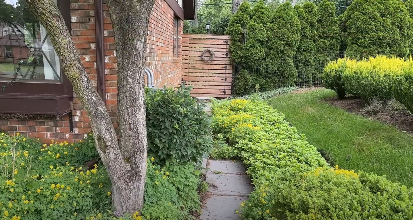 Well-maintained lawn with lush green grass in Kiryas Joel, NY